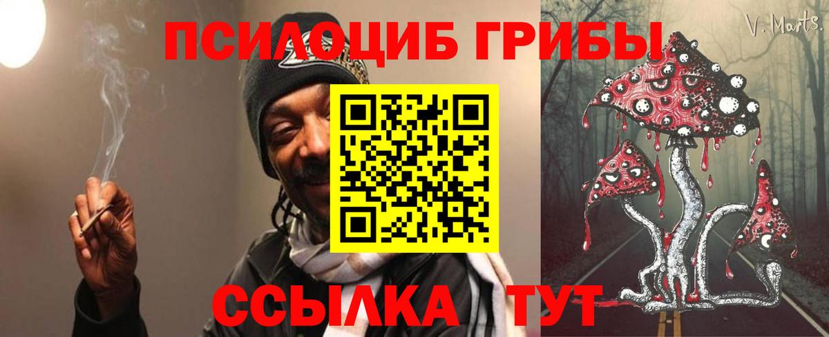 Галлюциногенные грибы Cubensis Белогорск